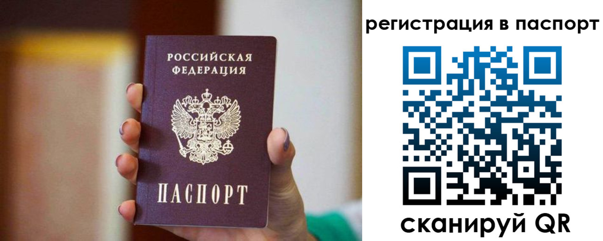 временная регистрация гарантия в Владимирской области