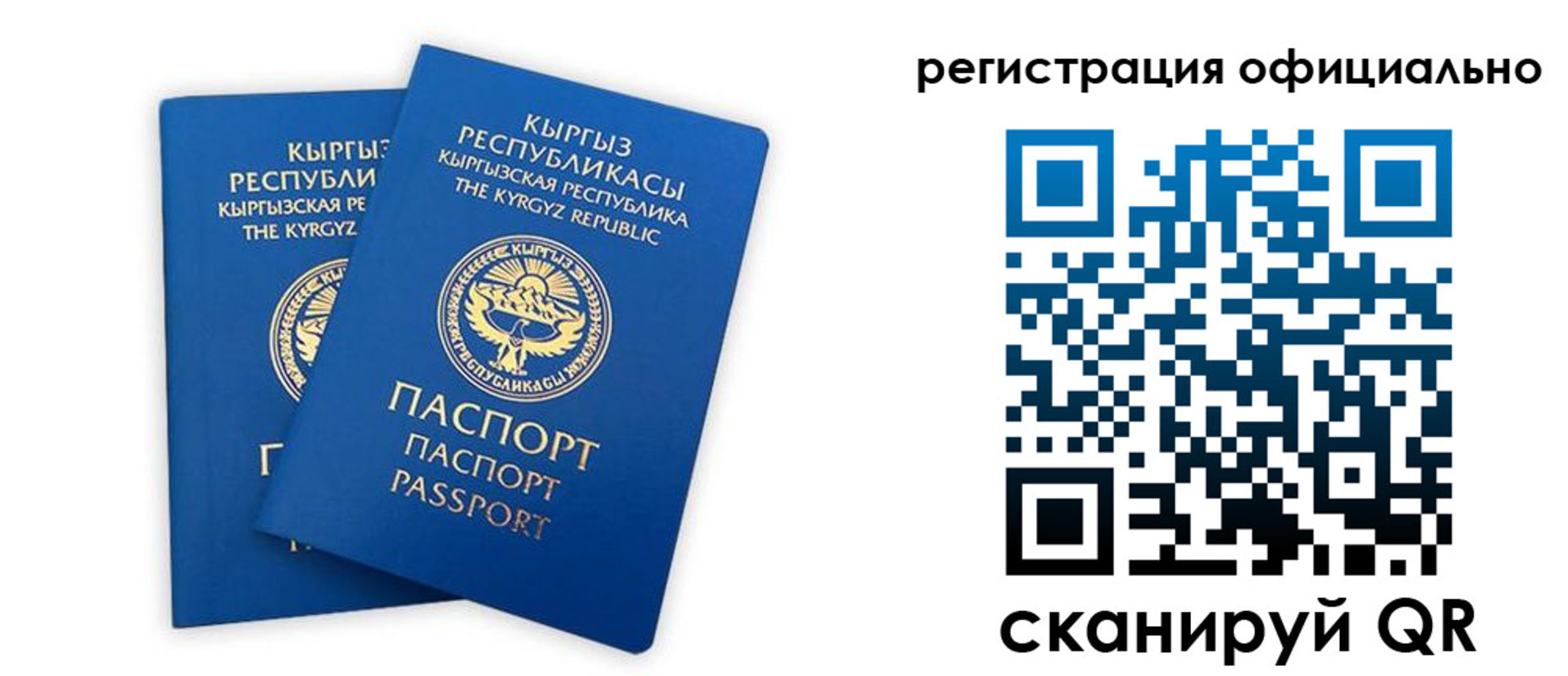 прописка поиск в Владимирской области